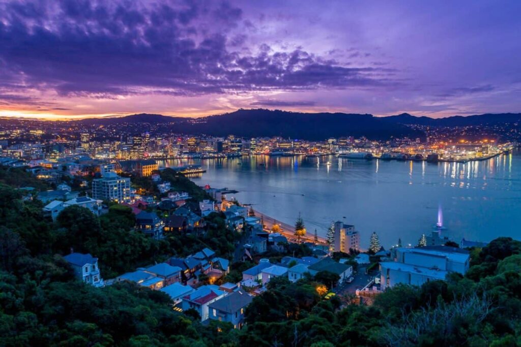 Zealandia by Night Tour