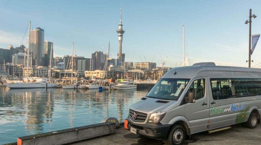 Auckland City Revealed