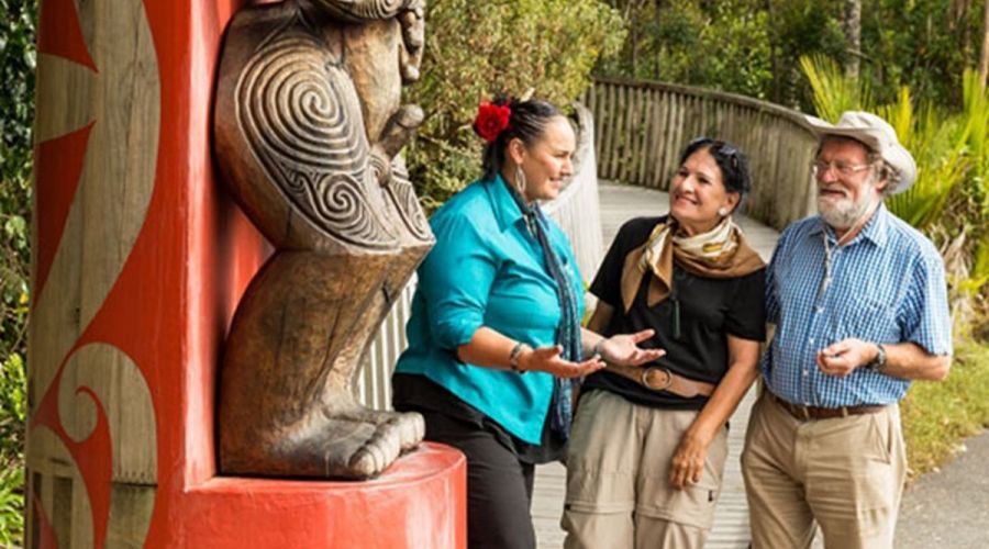 Auckland Maori Luxury Tour