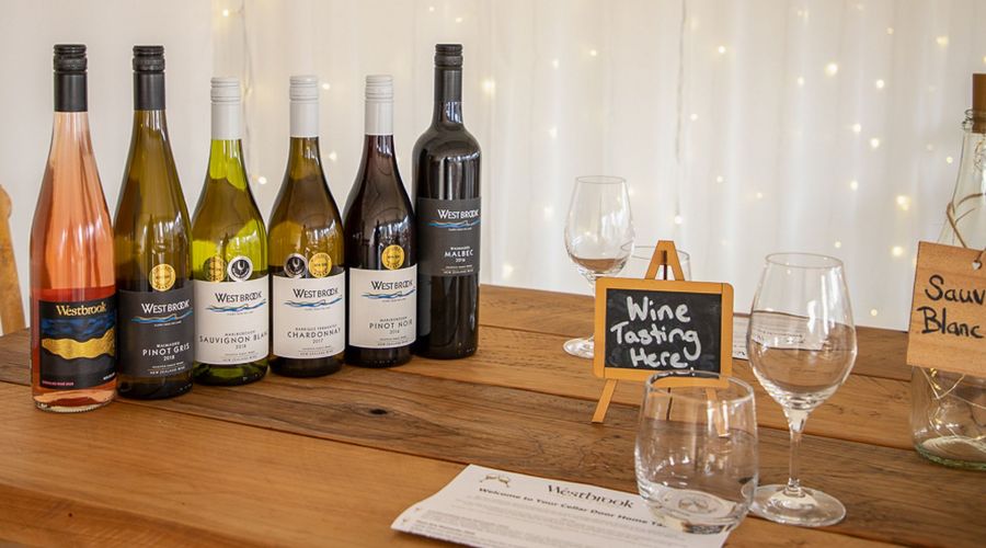 Auckland Wine Country with Lunch