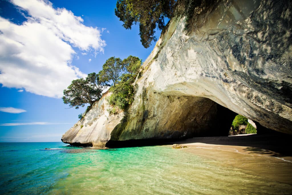 Coromandel Peninsula Highlights Tour from Auckland