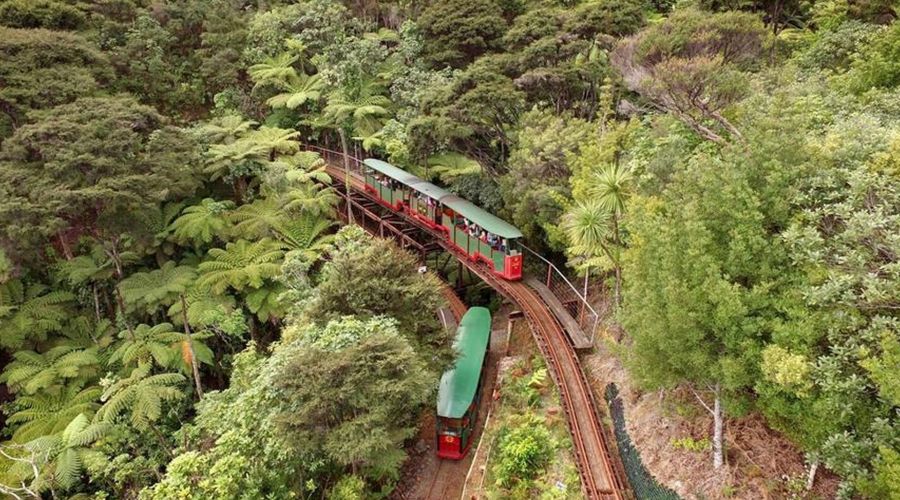 Driving Creek Railway Tours