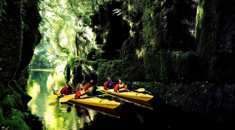 Evening Glowworm Kayak Tour