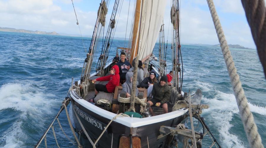 Full Day Sail from Russell