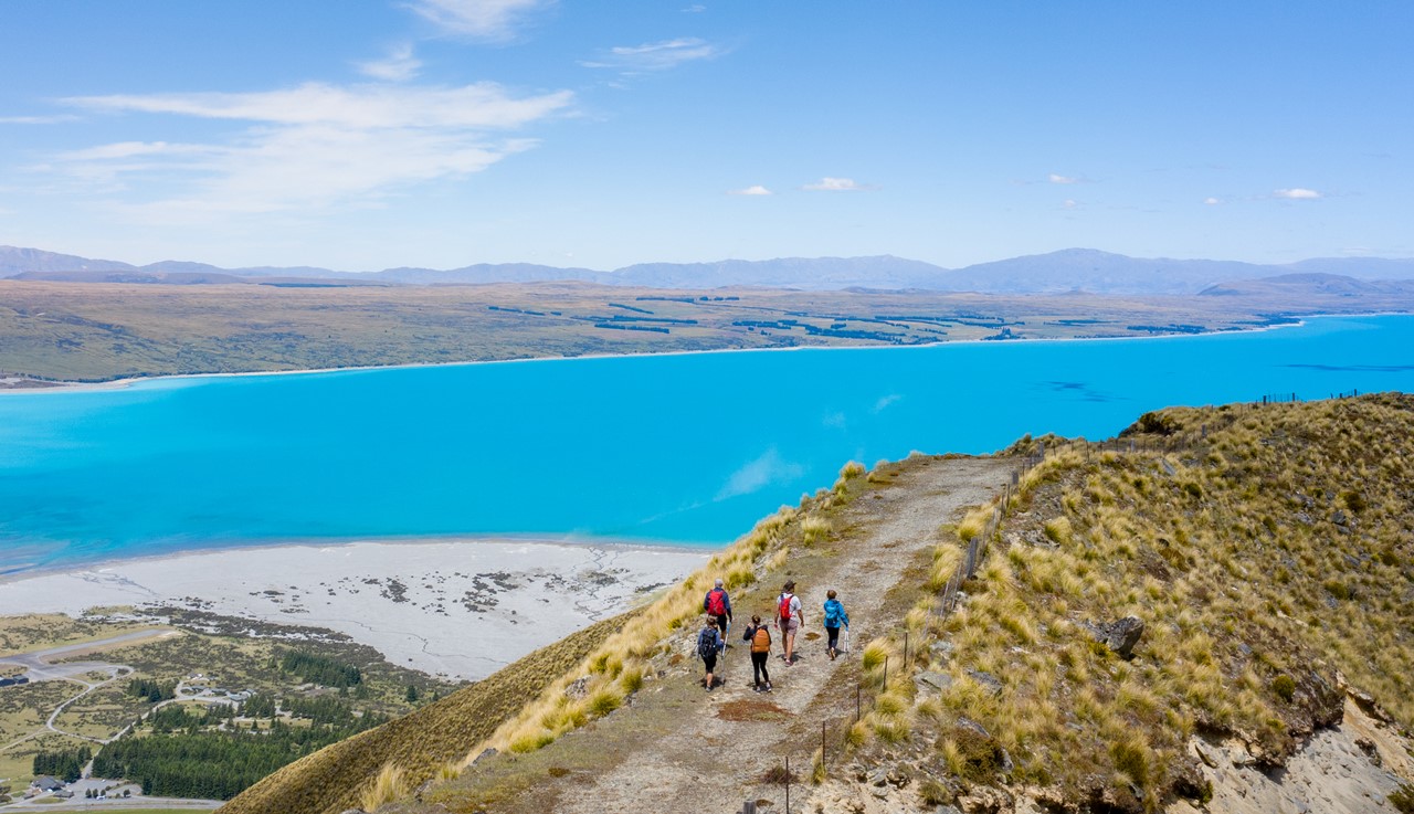 21 Day New Zealand Small Group Tour: Kakapo