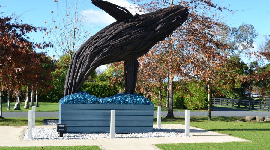 Matakana Art & Wine Escape