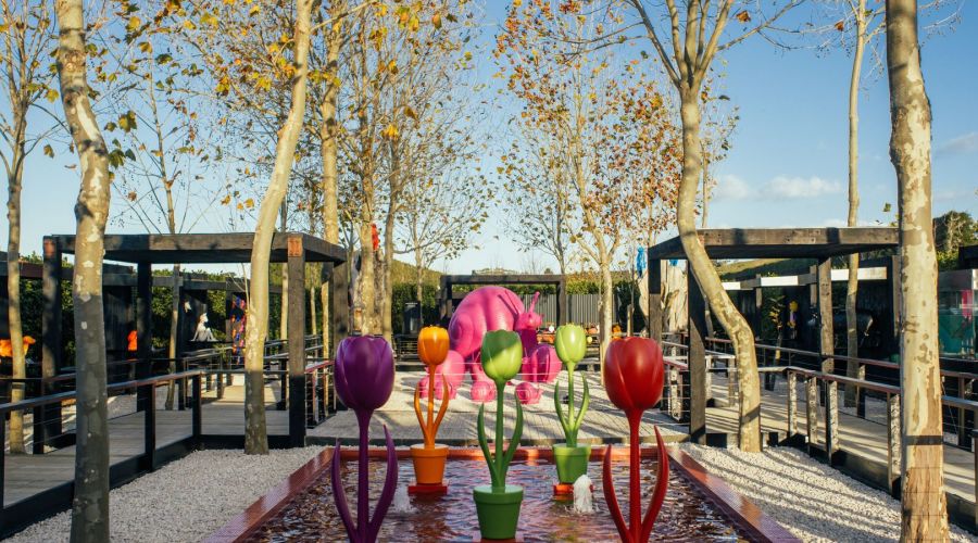 Matakana Island Guided Tour