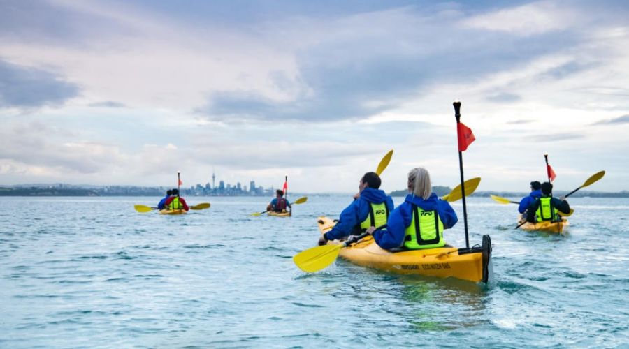 Half Day Kayak Tour to Motukorea, Browns Island