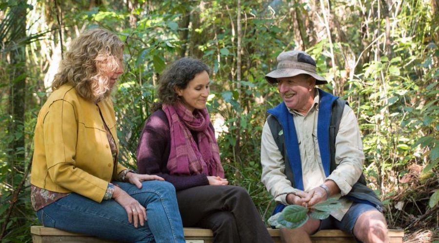 Puketi Eco Walk – half day