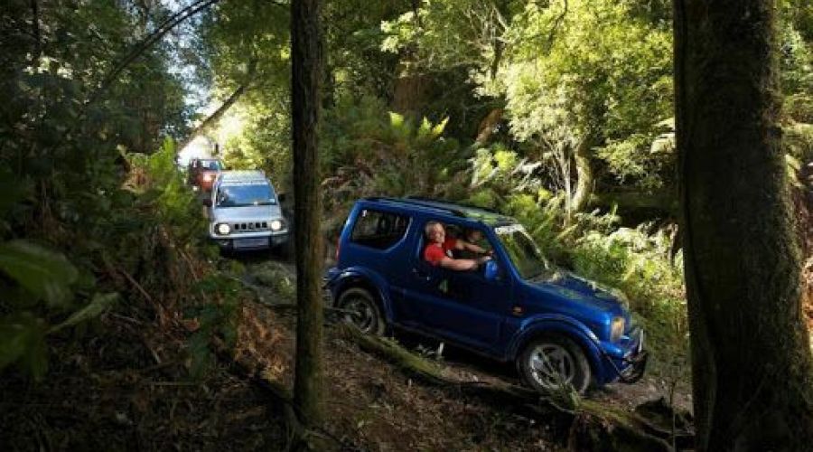 4WD Bush Safari Rotorua