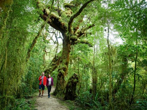 Kahurangi National Park, Photo: Tourism New Zealand