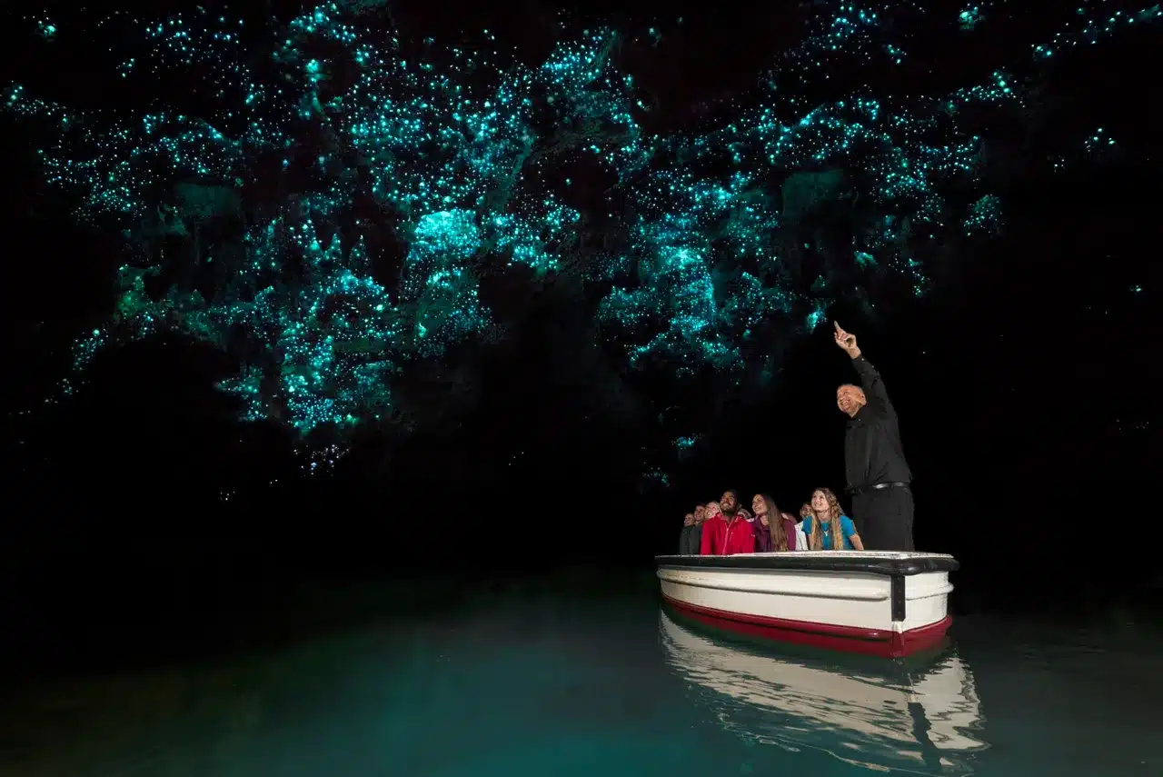 Glow Worm Caves New Zealand Waitomo