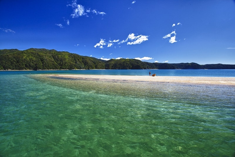 Farewell Spit Eco Tours NZ