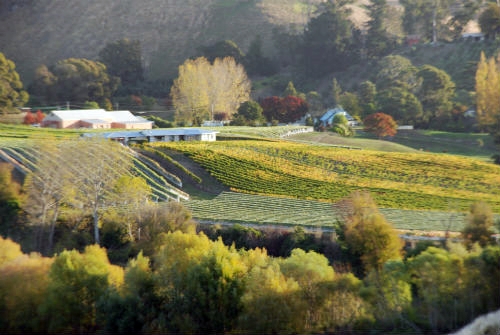Hawke’s Bay Full Day Wine Tour