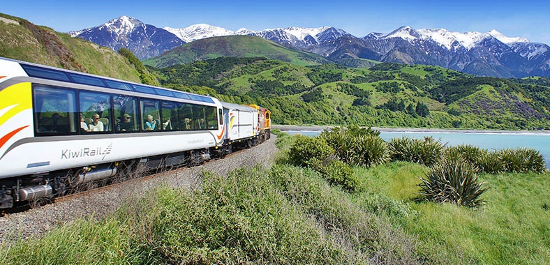 Coastal Pacific Train New Zealand