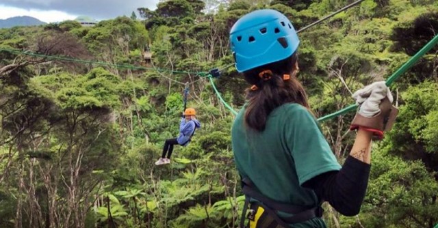 Coromandel Zipline Tour