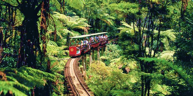 Driving Creek Railway Tour