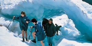 ‘Fox Trot’ Guided Walk