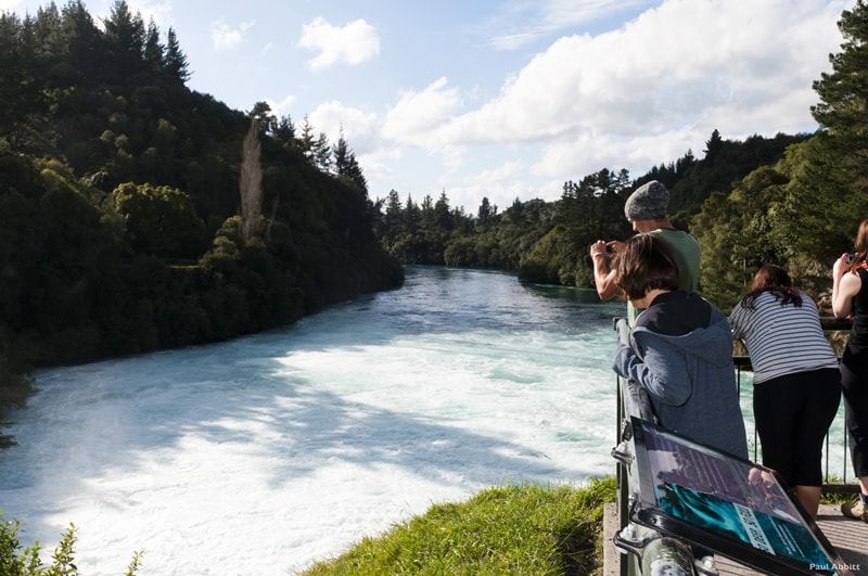 10 Day North Island Adventure Tour: Hihi