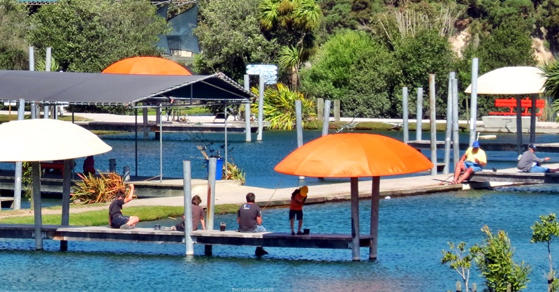 Huka Prawn Park Taupo