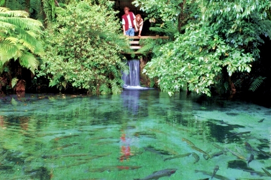 Paradise Valley Springs