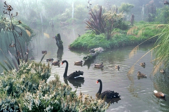 Paradise Valley Entrance