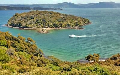 Paterson Inlet Cruise, Stewart Island