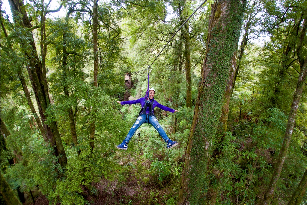 Rotorua-Canopy-Tour