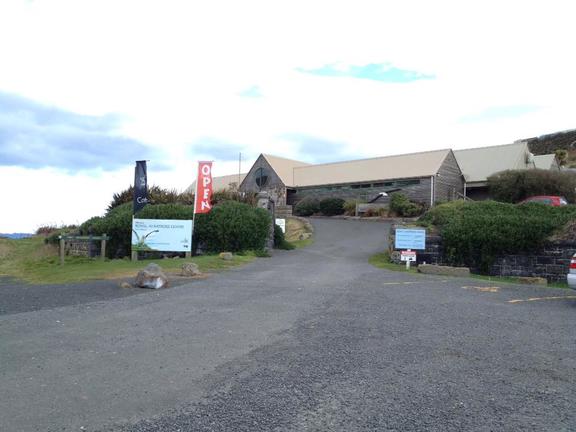 Royal Albatross Centre Tour