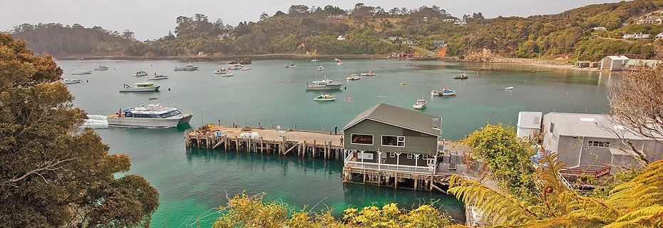 Bluff to Stewart Island Ferry