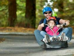 Skyline Gondola & Luge