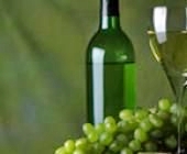 Bay Tours – ‘Explore the Plains’