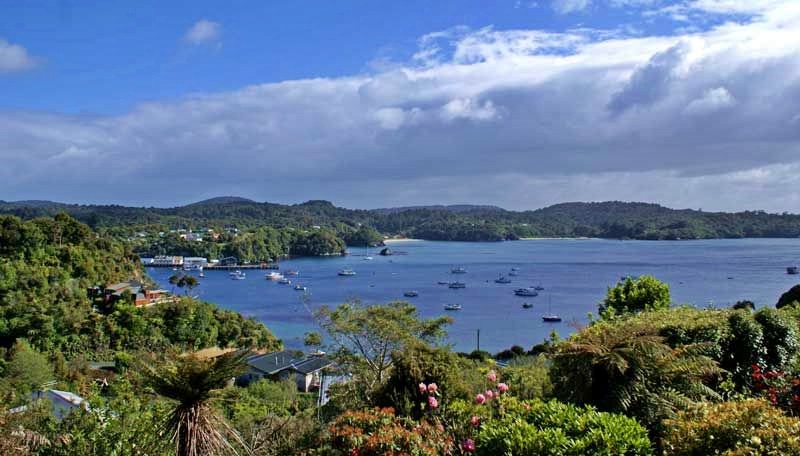 Stewart Island Day Tour