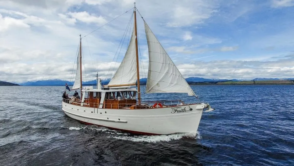 Lake Te Anau Cruise: Morning Tea & Guided Walk