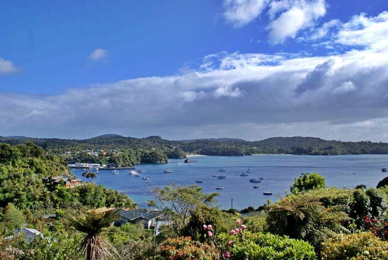 Village & Bay Tours Stewart Island