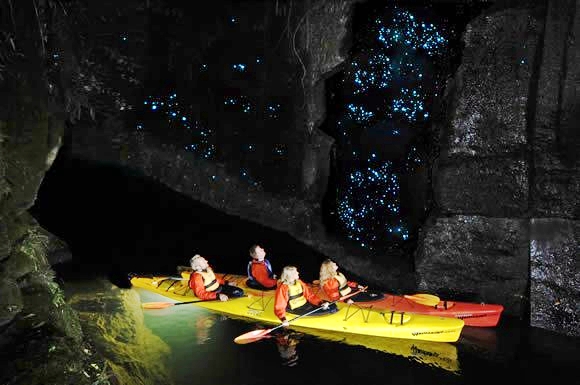 Waimarino Glowworm Kayak Tour