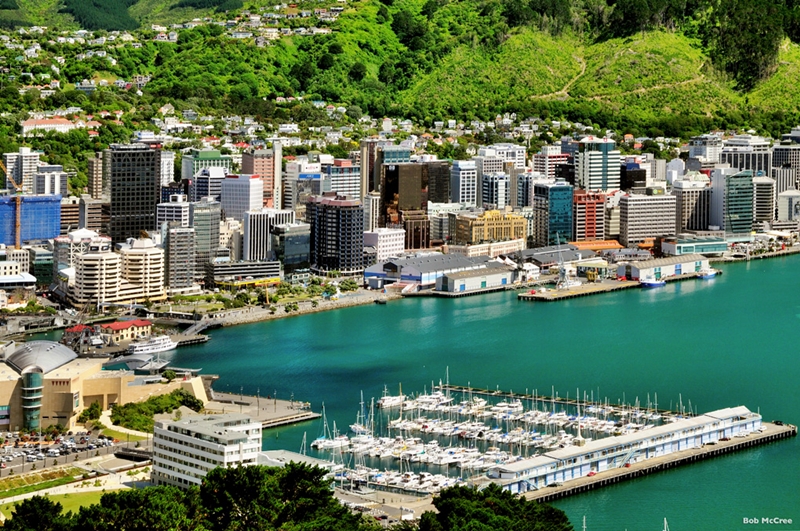 Wellington-City-Tour