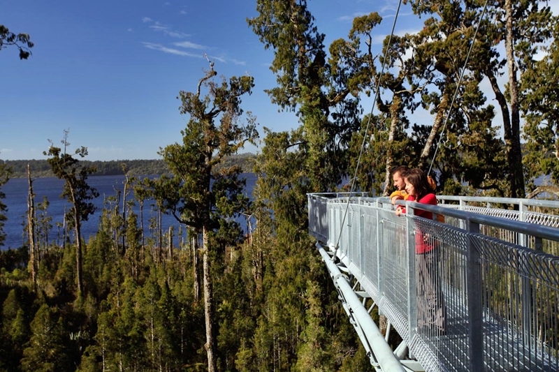 Westcoast Treetop Walk & Cafe