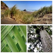 Wilderness Experience Tour