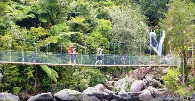 Abel Tasman Cruise and Walk