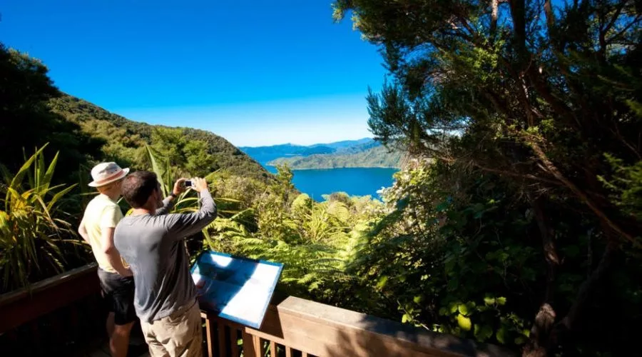 Queen Charlotte Track: Self-Guided Tour/Walk