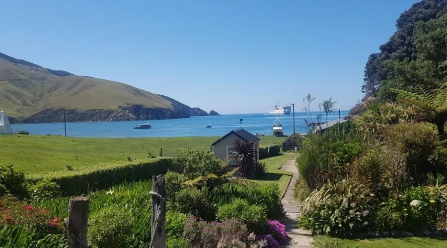 Paua Pearl Farm Guided Tour