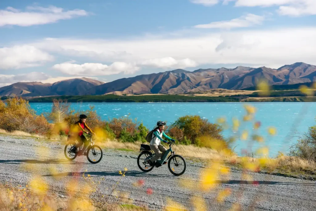 Bike Tour Wellington
