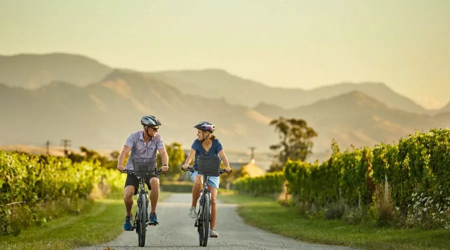 explore_marlborough_wine_cycle