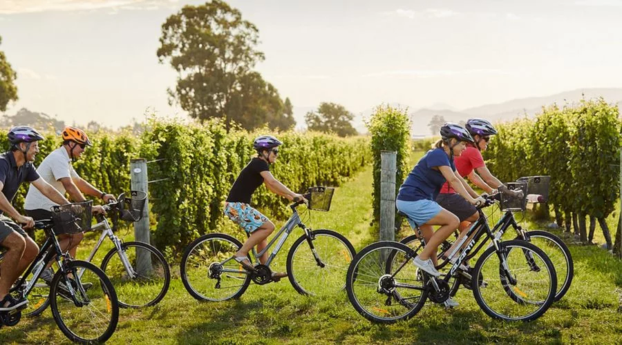 explore_marlborough_wine_cycle