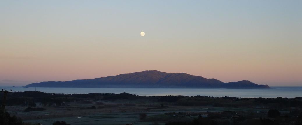 Kapiti Island Nature Tour
