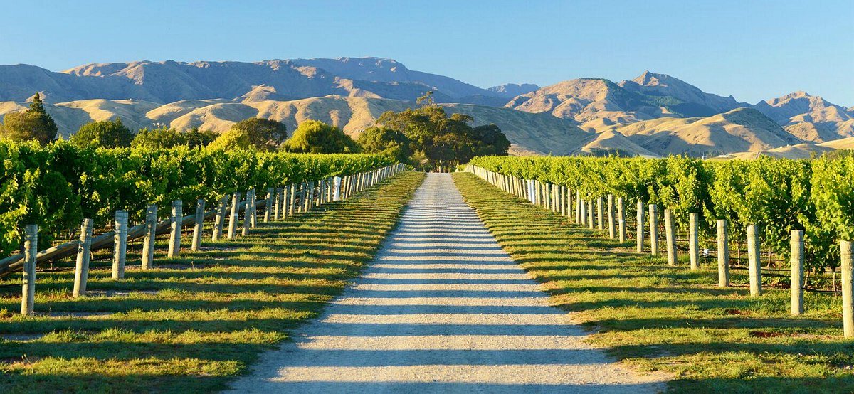 7 Day New Zealand Premium Food & Wine Discovery