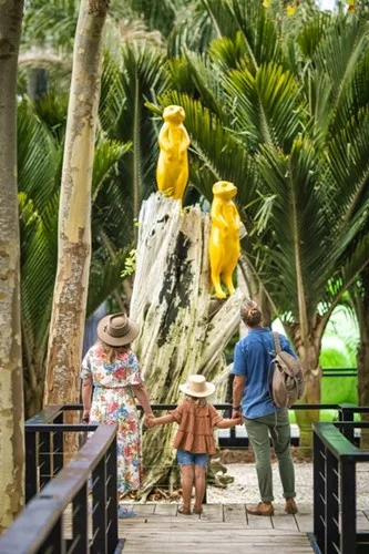 Matakana Island Guided Tour