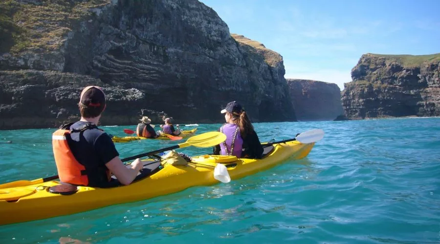 Sea Kayaking Safari from Akaroa Village