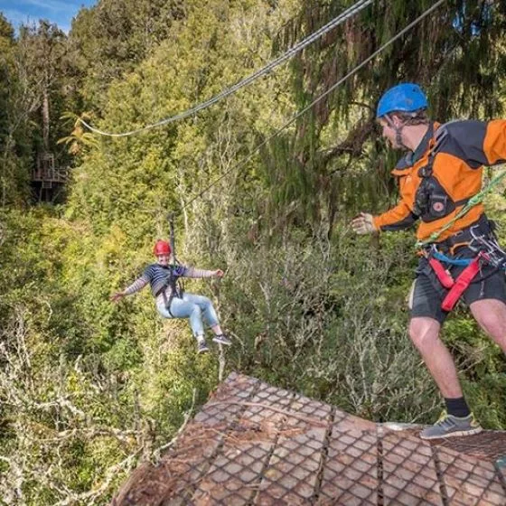 Zipline Rotorua New Zealand